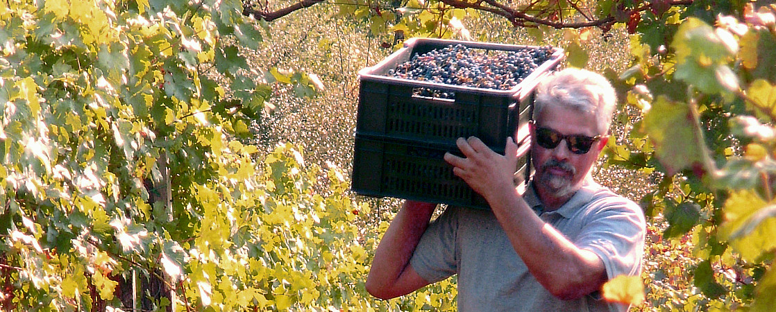 Dragoslav Weingut Ivanovic Zupa Prokupac Wein aus Serbien